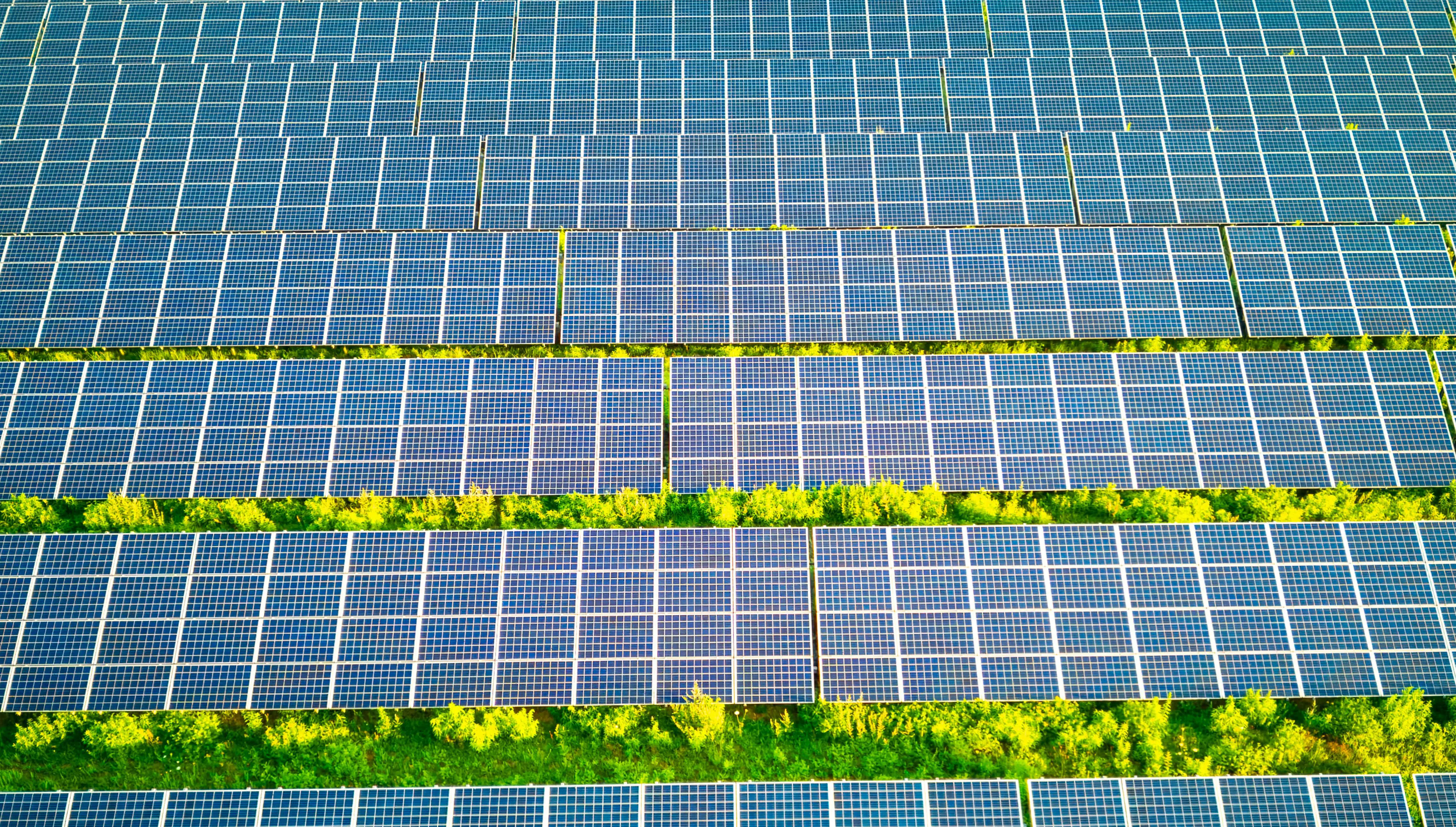 Our Sustainability Commitments