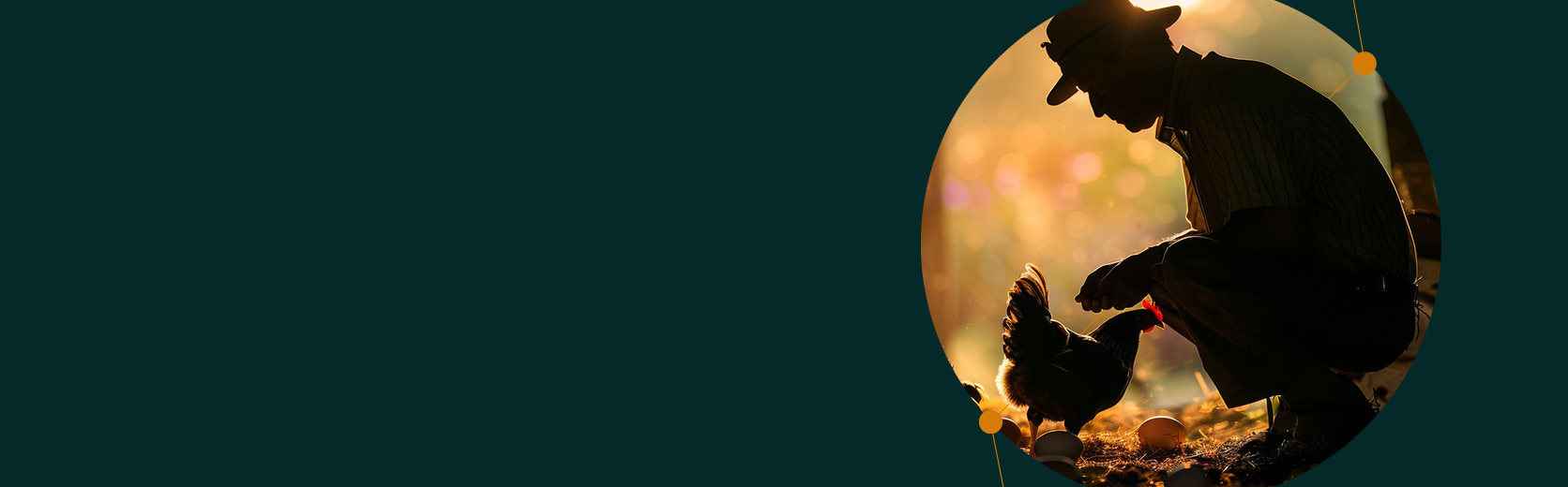 Investing For The Vibeflation